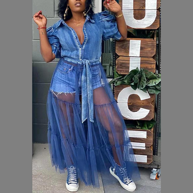 Plus Denim Shirt Dress