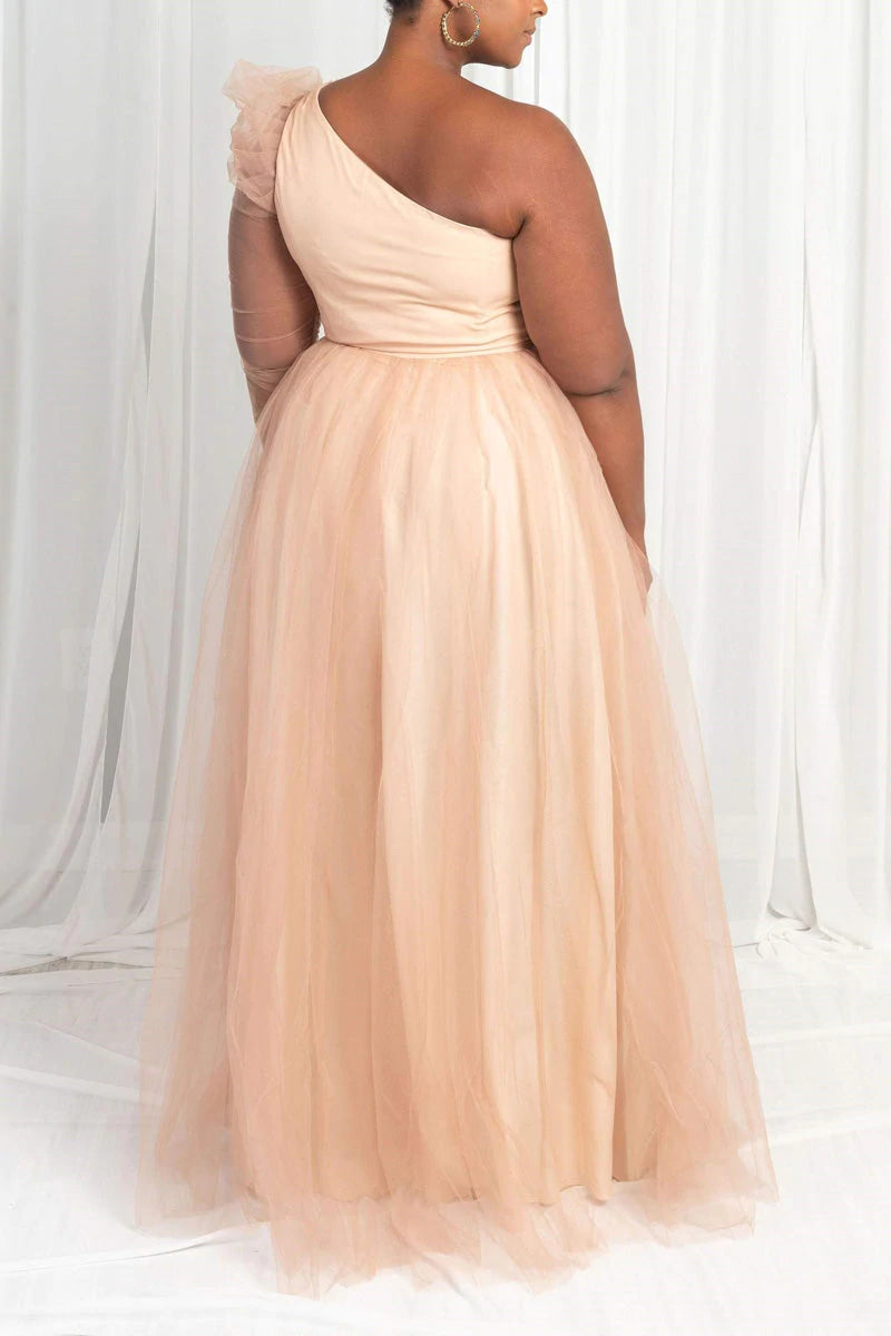 Plus Size Elegant Formal Tulle Maxi Dress