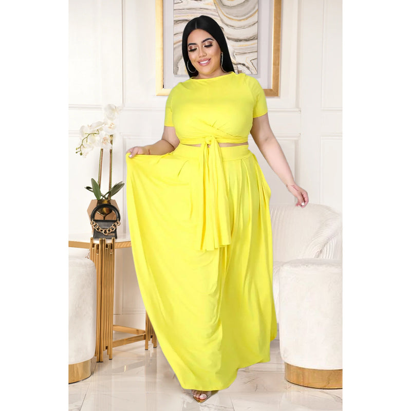 Plus Size Top & Dress Two Piece Set